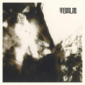 Torus - This Feeling (Beastie Butterfly)