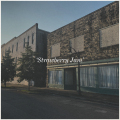 Skinny Living - Strawberry Jam (Direct Radio Promotions Ltd)