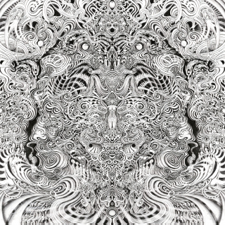 GAUPA - Fyr (ALL NOIR)