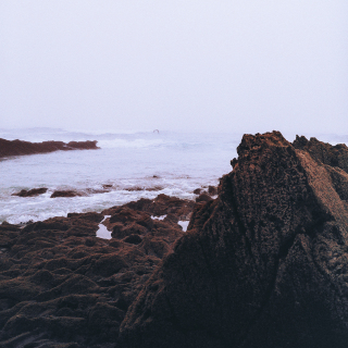 COLTAINE - Brandung (ALL NOIR)